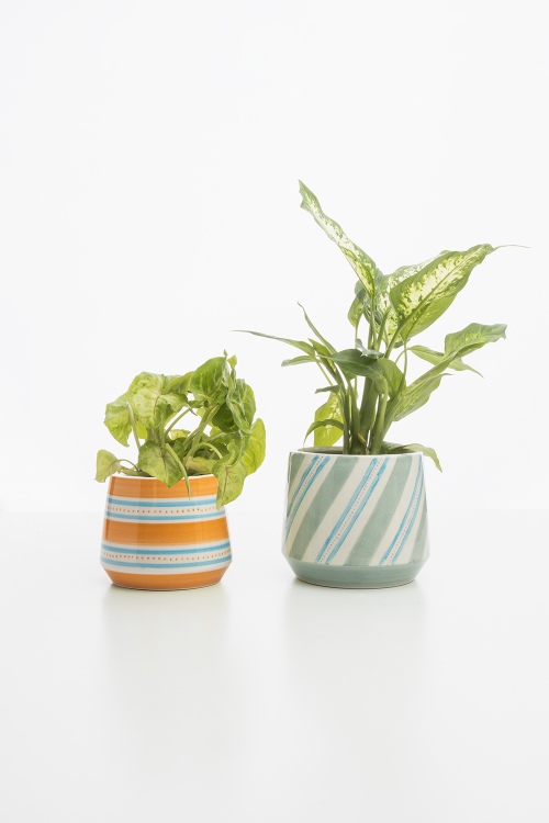 Eco-Friendly Orange Aquarell Pot for Indoor Decor