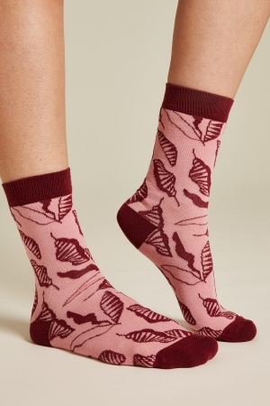 Socks COCOA anemone